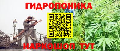 эйфоретик Усть-Джегута