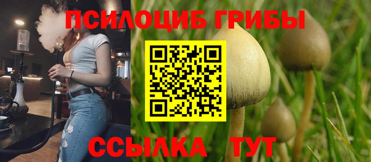 Торжок  Псилоцибиновые грибы мицелий  Псилоцибиновые грибы мухоморы  закладка  Вход с VPN 